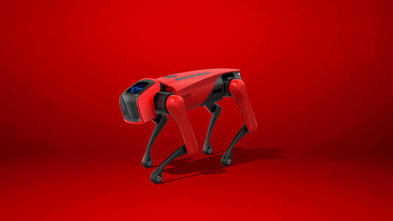 Robot Dog